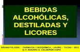 BEBIDAS ALCOHOLICAS-2013- Nº 09 -1-