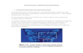 Consecuencias  Anatómicas del edentulismo.docx