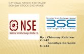 BSE AND NSE PPT