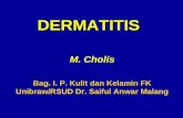 Dermatitis Biru