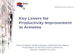 Armenia2020 Presentation McKinsey Productivity