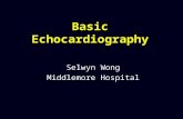 Basic Echocardiography,Mantap