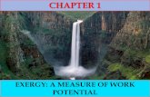 Chapter 1 Exergy