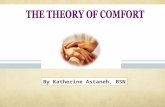 The Comfort Theory
