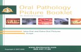 Part II Color Oral Pathology Picture Booklet [2007-2008]
