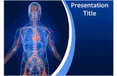 Vascular System Anatomy Powerpoint Template