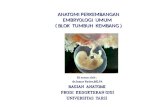 Embryologi Prodi Gigi-edit