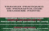 TP Examens Parasitologiques Du Sang