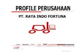 Company Profile Pt. Raya Indo Fortuna