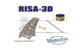 Risa 3D Manual