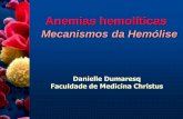 anemias hemolíticas e mecanismo de hemólise - danielle dumaresq 01.02