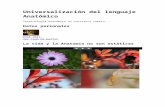 Universalización del lenguaje Anatómico.docx