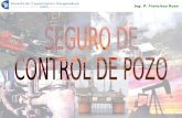 Control de Pozos 2012.pps