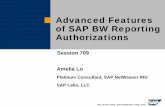 Advanced Features of SAP BW Reporting Authorizations