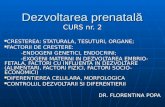 Dezvoltarea prenatala 2