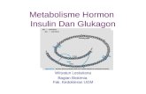 Met. Insulin &Glukagon