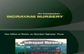 Indrayani Nursery - Introduction