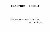 Taxonomi Fungi