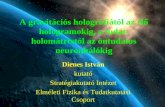Dienes István - A gravitációs holográfiától az élő hologramokig, a tudat-holomátrixtól az öntudatos neuronhálókig (2008-as konferencia) - Metaelméleti Konferencia