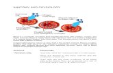 Anatomy and Pathophysiology of Anemia