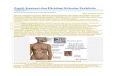 Aspek Anatomi Dan Histologi Kelenjar Endokrin
