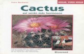 Cactus, así serán más hermosos - Franz Becherer