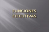 FUNCIONES EJECUTIVAS  2013