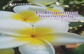 Electropuntura bioenergética - El método Torner y Supertronic