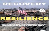 Recovery and Resilience