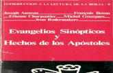 Evangelios sinópticos y hechos de loa apóstoles. Joseph Auneau y otros