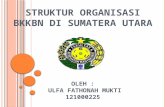 Struktur Organisasi BKKBN di Sumatera Utara ppt.pptx