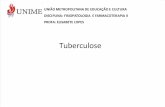 Tuberculose 2013.2