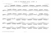 Paganini, Nicolo -24 Caprichos (Fisk).pdf