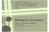 Curs 1 Strategii Resocializare