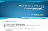 What is a Needs Assessment