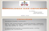 Semiologia Das Cefaleias