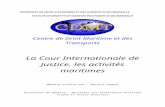 La Cour Internationale de Justice, les activités maritimes