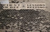 Bees Honey Bee Keeping