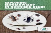 Exploring Entomophagy in Northen Benin: Practices, perceptions and possibilities