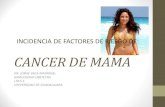Doc Cancer de Mama