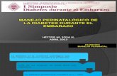 Diabetes Manejo Perinatal Definitivo2013