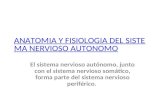 Anatomia y Fisiologia Del Sistema Nervioso Autonomo (1)