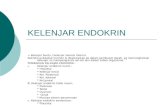 Kelenjar Endokrin Histo - Copy