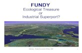 FUNDY -  Ecological Treasure or Industrial Superport?