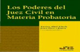 Los Poderes Del Juez Civil en Materia Probatoria - Xavier Abel Lluch & Joan Pico