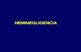 Heminegligencia y Apraxia 07062011