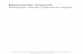 Manuscrito Voynich, Descripcion, Estudio, Original y Texto