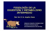 Fisiologia de La Digestion y Metabolismo Intermedio