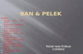 Ban & pelek