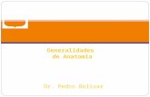 1.) Generalidades de Anatomía y Principios Morfológicos, Generalidades de Osteología - Prof. Pedro Bolívar